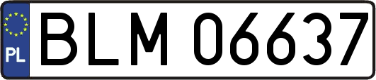 BLM06637