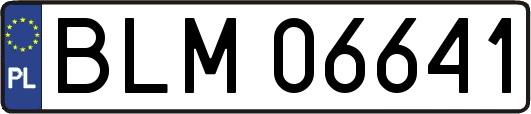 BLM06641