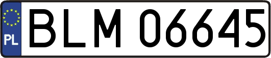 BLM06645