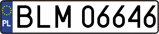 BLM06646