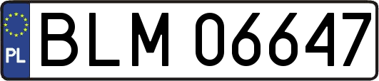 BLM06647