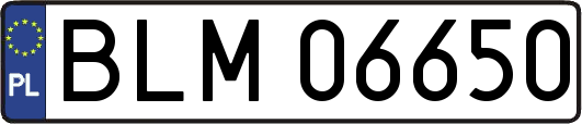 BLM06650