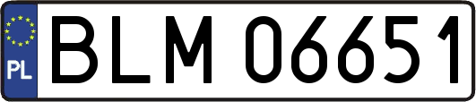 BLM06651