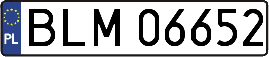 BLM06652