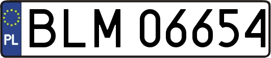 BLM06654
