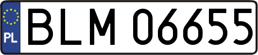 BLM06655