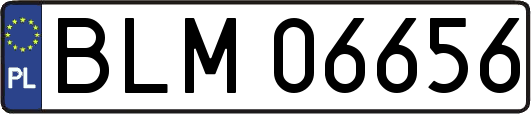 BLM06656