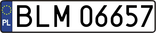 BLM06657
