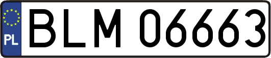 BLM06663