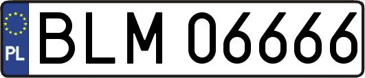 BLM06666