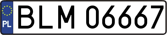 BLM06667