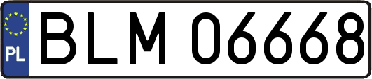 BLM06668