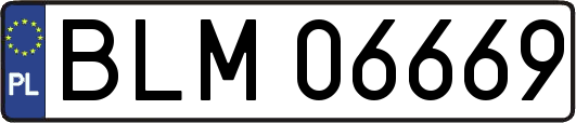 BLM06669