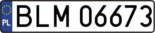 BLM06673