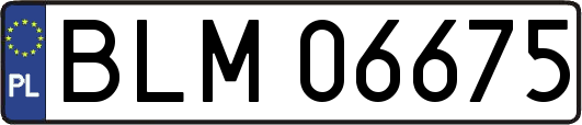 BLM06675