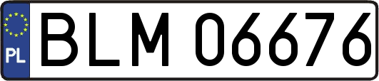 BLM06676
