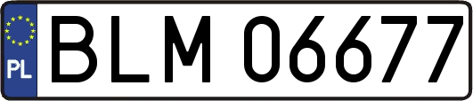 BLM06677