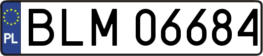 BLM06684