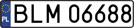 BLM06688