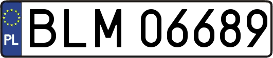BLM06689
