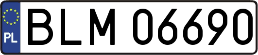 BLM06690