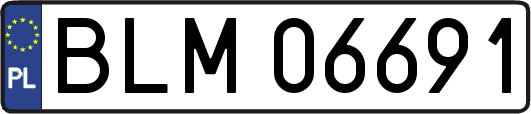BLM06691