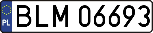 BLM06693