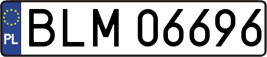 BLM06696