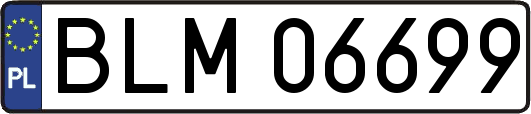 BLM06699