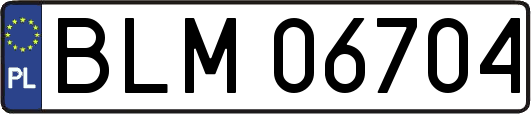 BLM06704