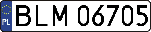 BLM06705
