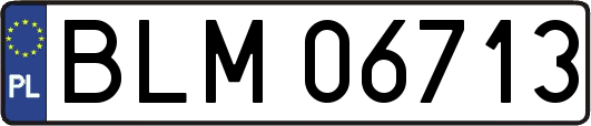 BLM06713