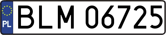BLM06725