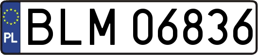 BLM06836