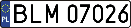 BLM07026