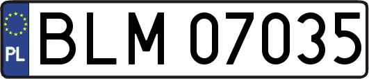 BLM07035