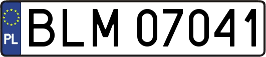 BLM07041