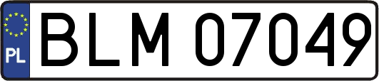 BLM07049