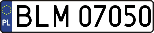 BLM07050