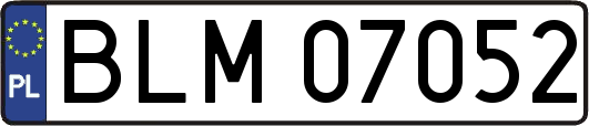 BLM07052