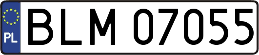 BLM07055