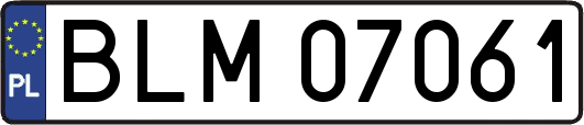 BLM07061