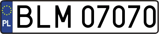BLM07070