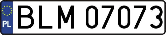 BLM07073