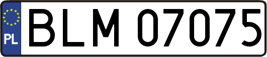 BLM07075