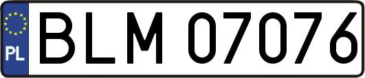 BLM07076