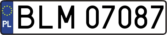 BLM07087