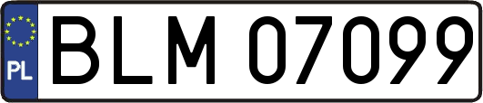 BLM07099