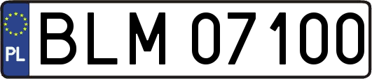 BLM07100