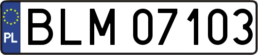 BLM07103